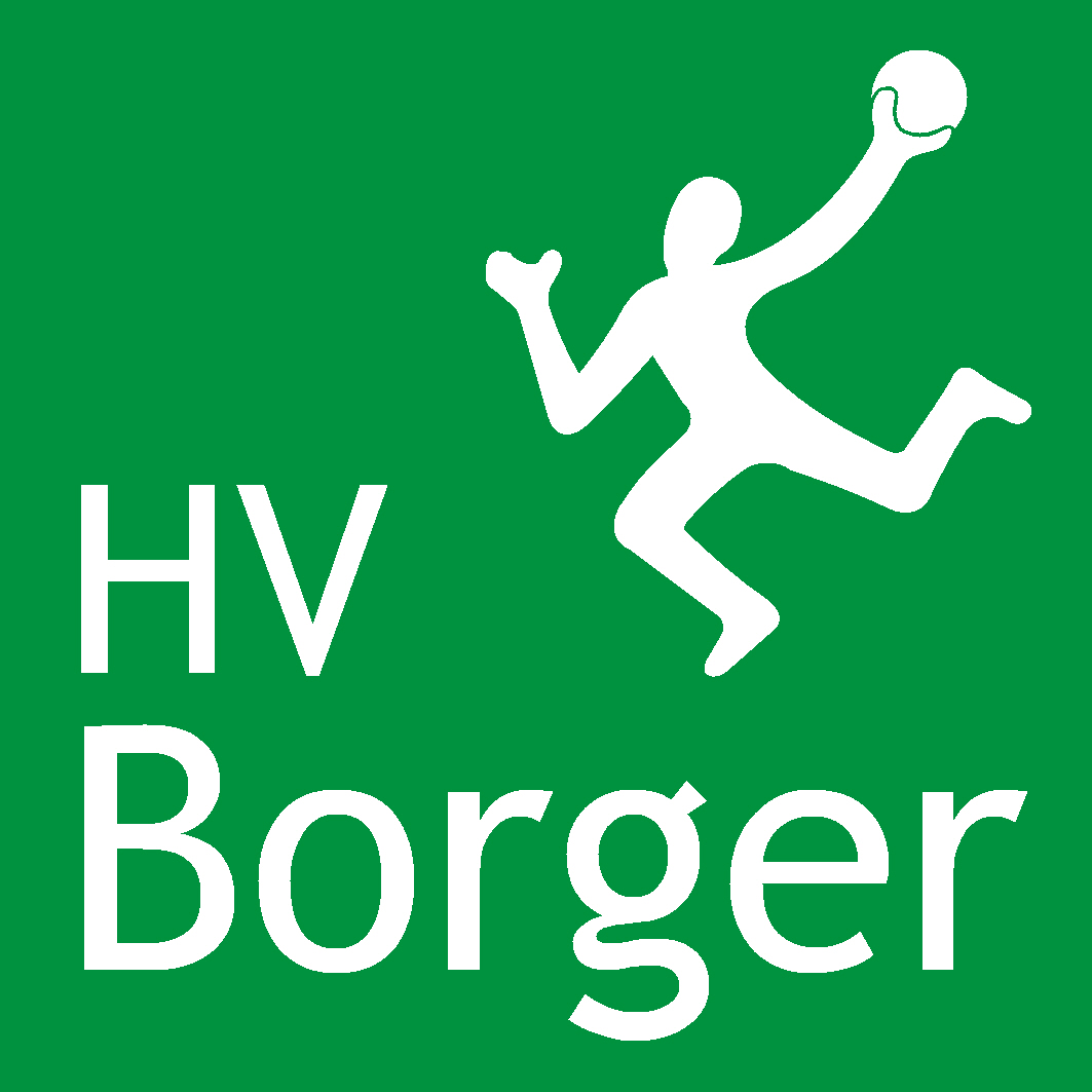 Afbeelding log handbalvereniging Borger