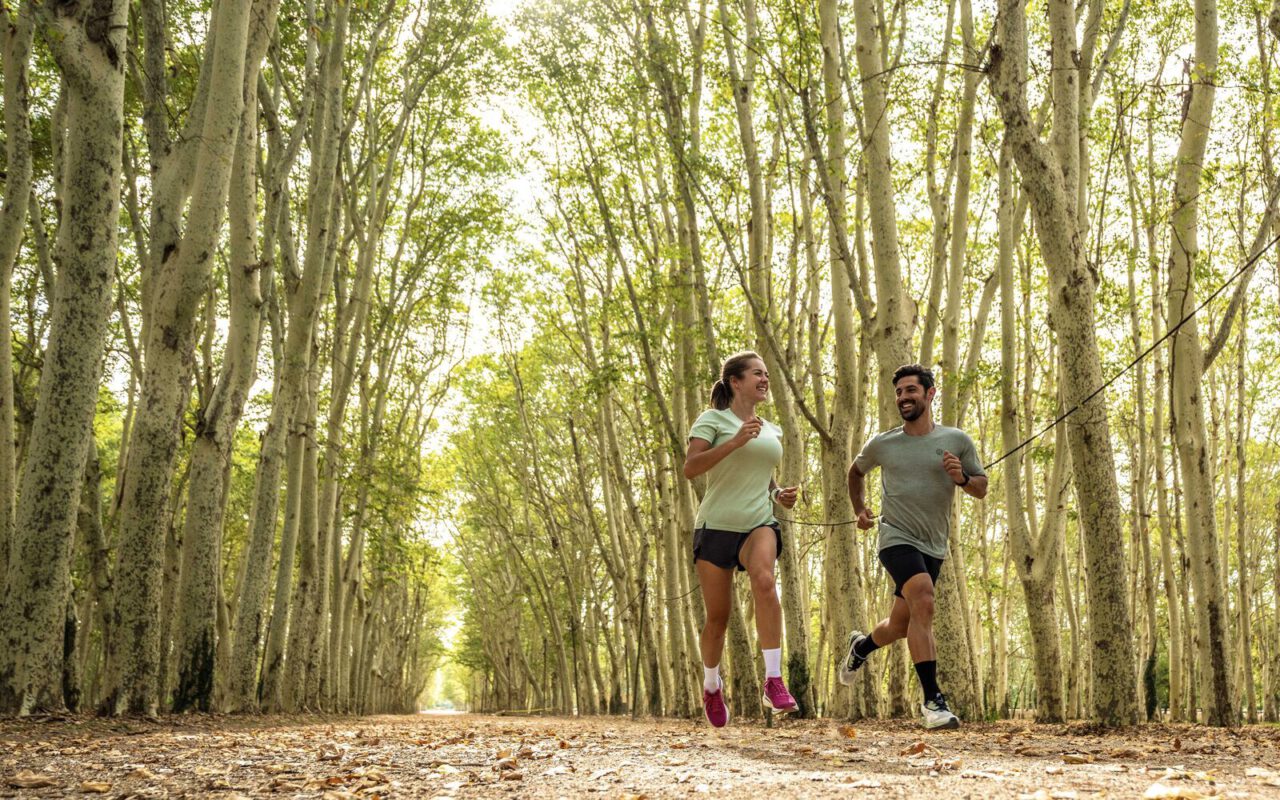 Afbeelding hardlopers in een zonnig bos