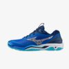 Afbeelding Mizuno wave stealth 6 handbalschoen blauw/wit