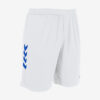 Afbeelding Hummel Memphis short sportbroek heren kleur wit-blauw